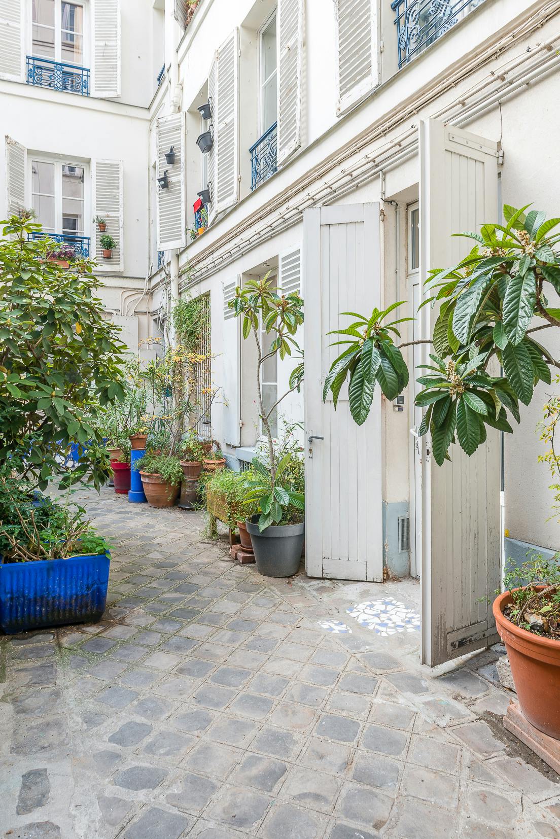 location-meublee-cour-immeuble-plantes-vegetation-driss-pariscabane.jpg