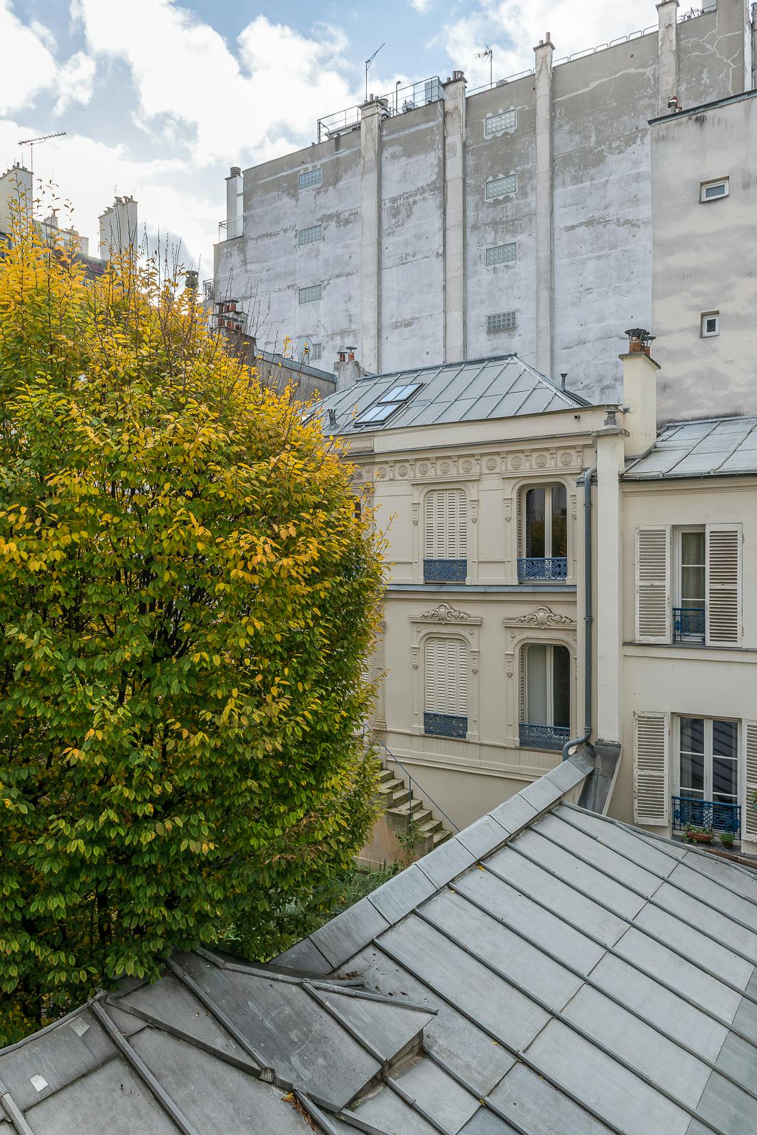 location-meublee-vue-sur-cour-immeuble-arbre-driss-pariscabane.jpg